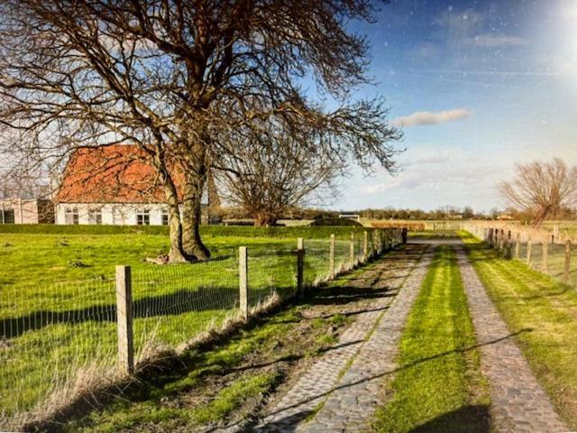 Schravenhoek Met Indoorzwembad En Sauna فيرن المظهر الخارجي الصورة